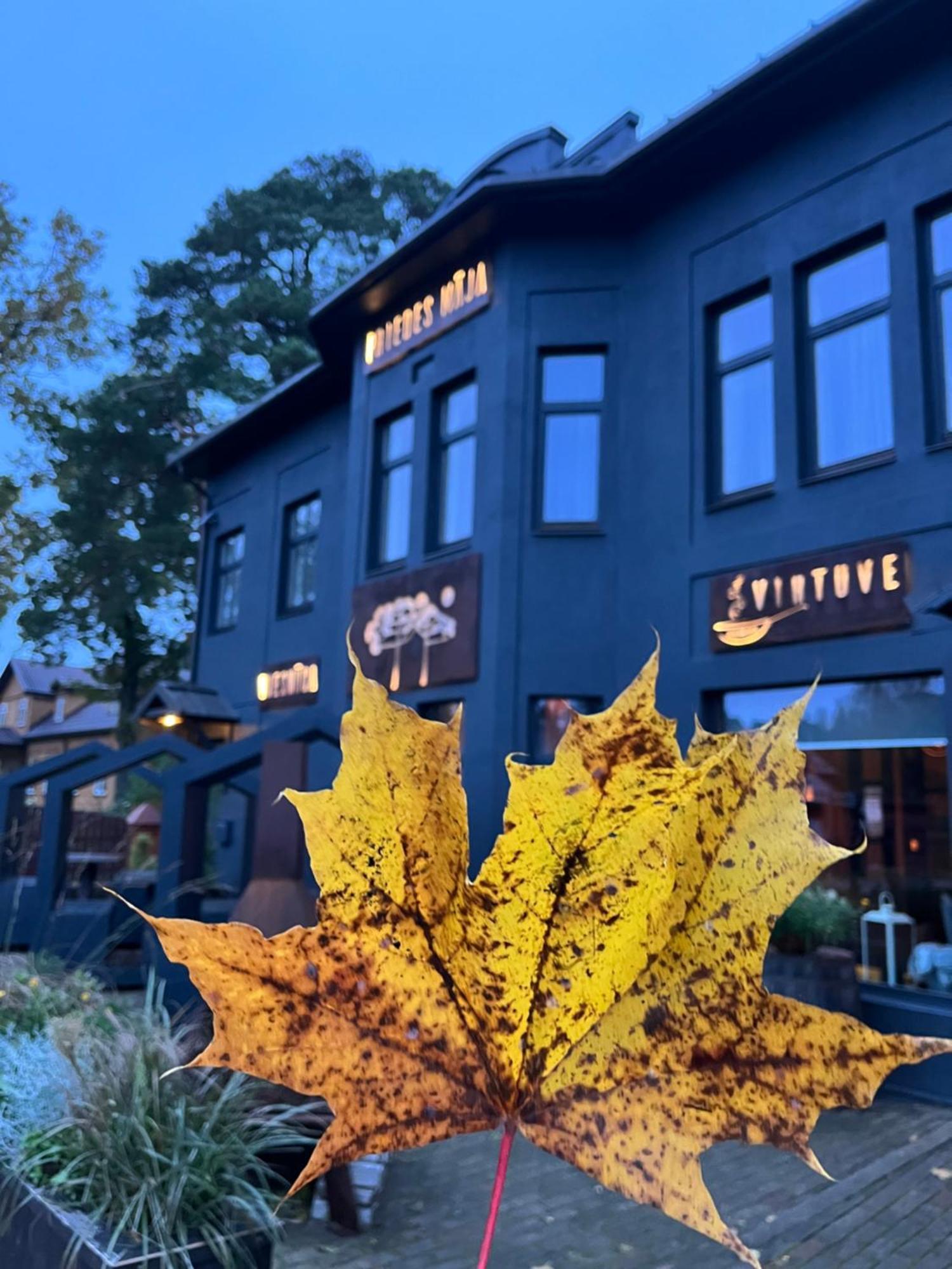 Priedes Maja Hotell Ainaži Exteriör bild